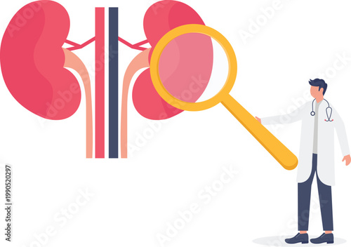 Nephrologist examining kidney health with magnifying glass