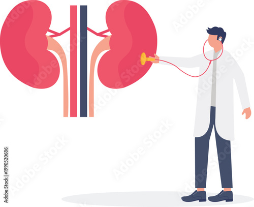 Nephrologist performing kidney auscultation medical exam