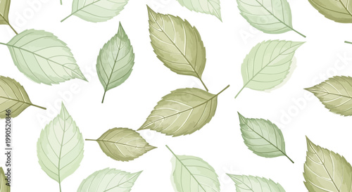 Green leaves on white background.