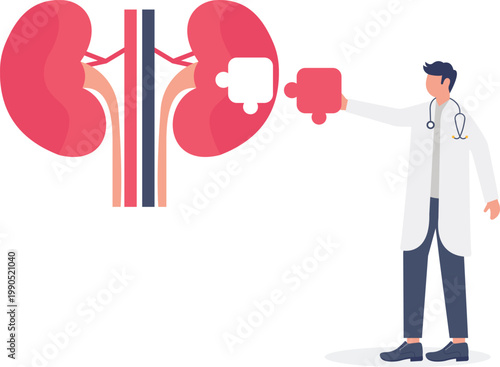 Doctor solving kidney puzzle for renal health solution