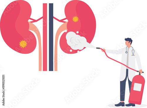 Specialist sanitizing kidney from viral infection and bacteria