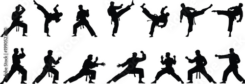 Silhouettes of martial artists performing various karate stances and kicks martial arts fighter combat