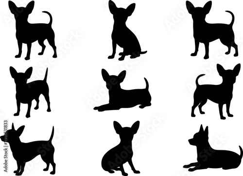 Various Chihuahua dog silhouettes in playful and calm poses, minimalist black vector set isolated on white background for design use