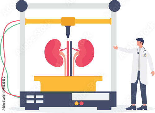 Futuristic 3D printing of human kidney organ pair