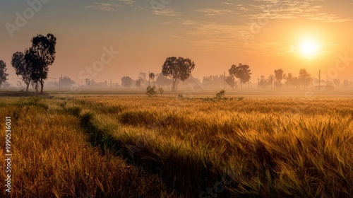 Sunrise over Punjab farmland symbolizing new harvest on Vaisakhi