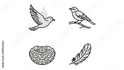 Nature's Symphony: Delicate avian illustrations grace the canvas, presenting a sense of flight, tranquility, and the tender embrace of a feathered existence.