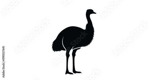 Canvas Print Black emu standing in profile on transparent background silhouette