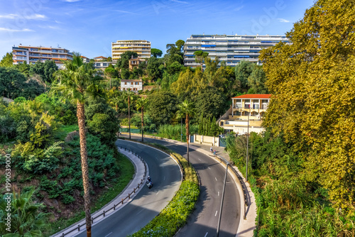 Scenic view of winding road surrounded by lush greenery and modern residential buildings in Cannes, France, showcasing palm trees and vibrant landscape