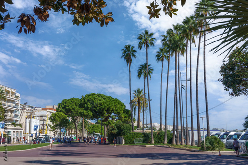 Cannes, France. Palm trees lining a scenic boulevard Promenade de la Croisette with clear blue skies and a vibrant atmosphere, showcasing the coastal charm of the Mediterranean region