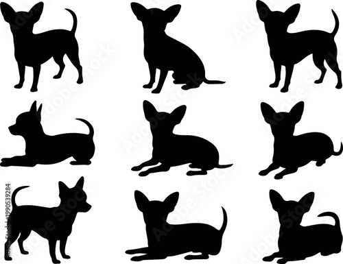 Various Chihuahua dog silhouettes in playful and calm poses, minimalist black vector set isolated on white background for design use