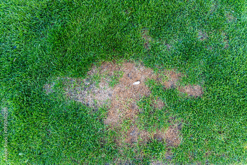 Aerial view of a lush green lawn featuring patches of dry brown grass, showcasing natural variations in color and texture. Suitable for landscape, gardening, or home improvement themes.