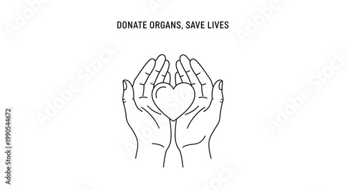 Hands holding heart symbol for organ donation.
