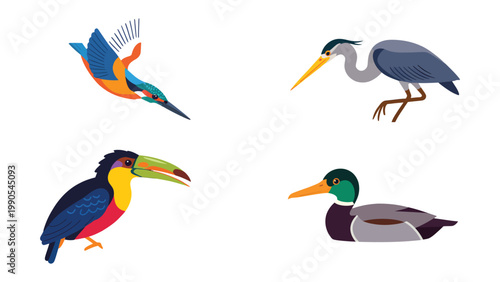 Diversity in Avian: A vibrant collection of bird illustrations, showcasing the unique beauty of each species and their distinctive characteristics. 