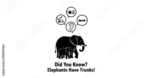 Elephant illustration with educational fact about trunk functions.