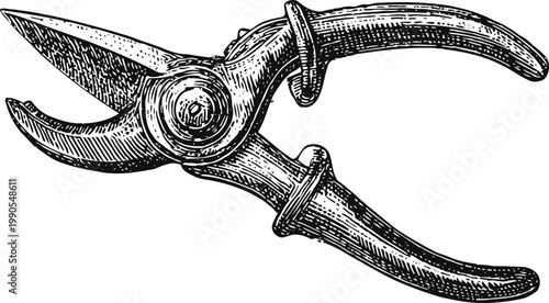 Vintage pruning shears engraving hand drawn secateurs for gardening and plant care