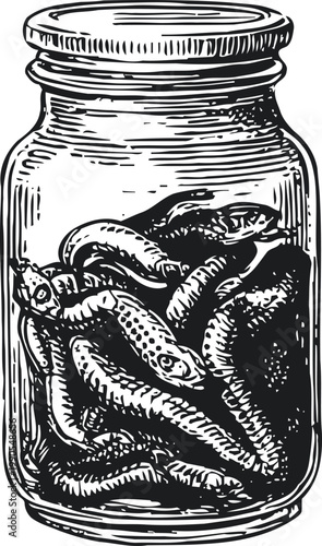 Glass jar filled with pickled whole fish preserved in liquid, vintage black ink drawing