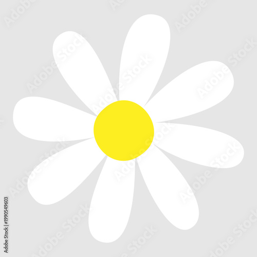 Daisy flowers icon vector. Daisy Illustration sign. Chamomile symbol. flowers logo.