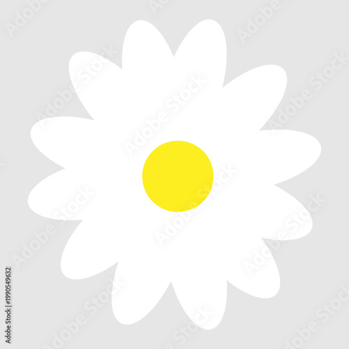 Daisy flowers icon vector. Daisy Illustration sign. Chamomile symbol. flowers logo.