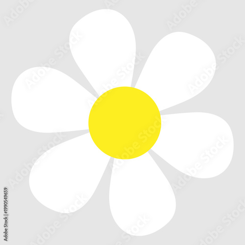 Daisy flowers icon vector. Daisy Illustration sign. Chamomile symbol. flowers logo.