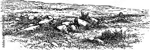Wild rabbits resting in grassy field with scattered rocks, vintage black and white sketch
