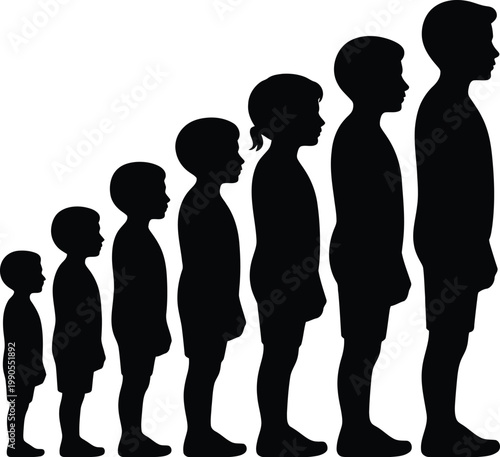 Complete set of seven black silhouettes showing the growth of a boy from toddler to adult male representing human development height progression aging process male maturation and physical evolution