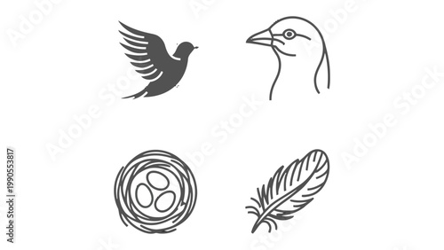 Bird Icons: A set of four elegant icons capturing the essence of birds in various forms: a soaring silhouette, a focused profile, a cozy nest, and a delicate feather, all rendered with clean lines.