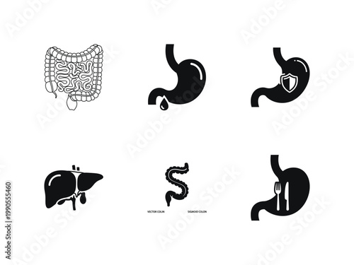 Set of human digestive system icons, including stomach, liver, and colon