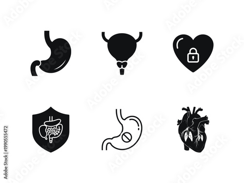 Set of human internal organs icons, including stomach, bladder, heart, digestive system, and anatomical heart