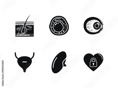 Set of human anatomy icons including skin cross section, cell, eye, bladder, kidney and heart with lock symbol