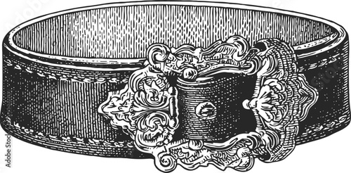 Vintage ornate belt with decorative floral buckle in classic engraving