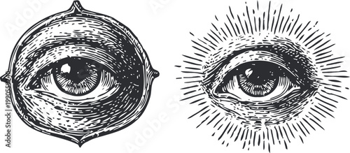 intricate vintage eye illustrations with textured shading and radiant light rays design