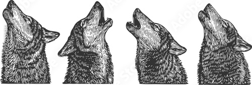 Howling wolf heads set hand drawn wild animals black and white wildlife sketch collection