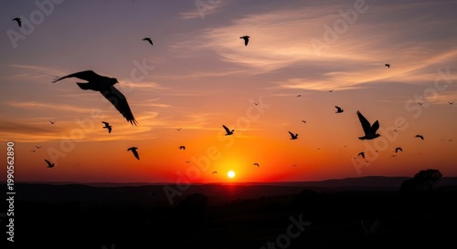 Silhouetted birds soaring against a vibrant sunset sky