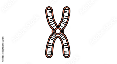 Scientific illustration of a chromosome structure with genetic banding patterns used to represent DNA, heredity, and biological research.