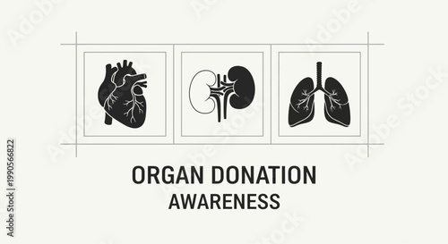 Organ Donation Awareness Heart Kidney Lungs Icons.