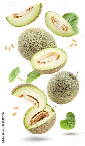 melon isolated on white background. fresh melon. clipping path