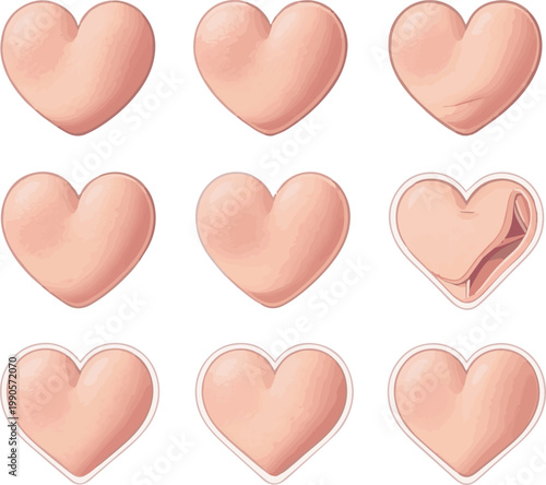 Create a realistic kinds of deferent Cheek heart (left) vector art with white background..