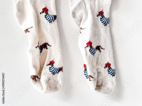 Pair of soft knee-high socks adorned with playful dachshunds