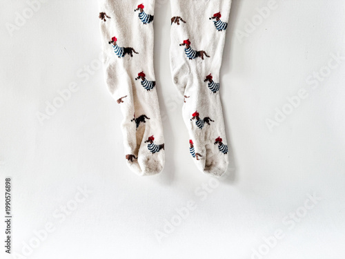 Pair of soft knee-high socks adorned with playful dachshunds
