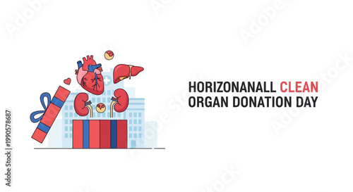 Gift box with human internal organs for organ donation day concept.