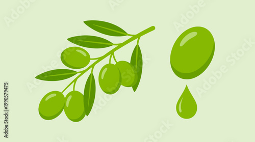 Olive branch with green olives and oil.