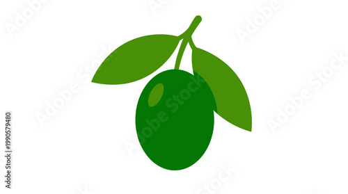 Green lime fruit with leaves illustration.