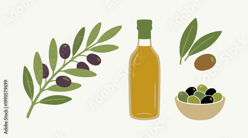 Olive oil and olives illustration.