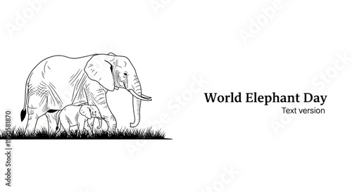 Line art illustration of a mother elephant and her baby walking through grass.