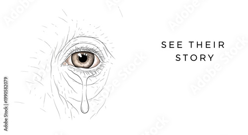 Pencil sketch of an elderly human eye with a single tear.
