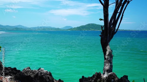 Lone Dead Tree on Rocky Coast with Turquoise Bay and Tropical Island Mountain in Background - 4K footage