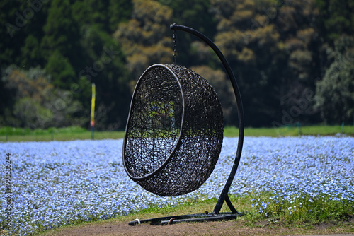 やすらぐ美しいネモフィラ畑の広場