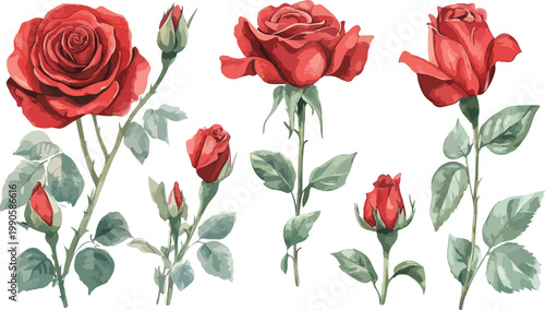 Seamless floral pattern of red and yellow roses with romantic rose bouquet petals for love and valentine design