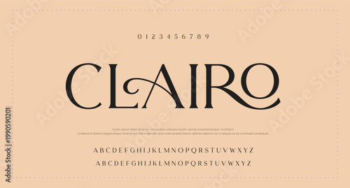 Creative modern rounded lowercase display font vector 