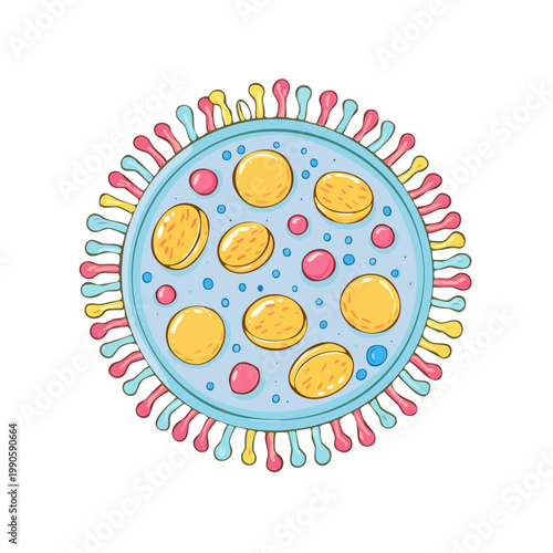 Stylized illustration of a spherical virus particle with colorful spikes and internal circular structures